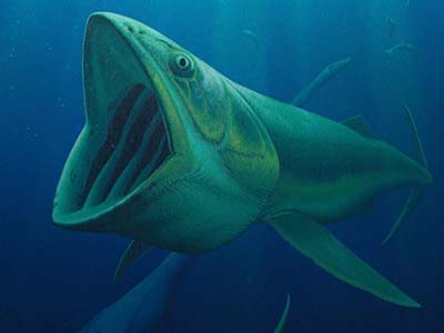 科学家发现2种远古巨鱼 堪比现代鲸鱼