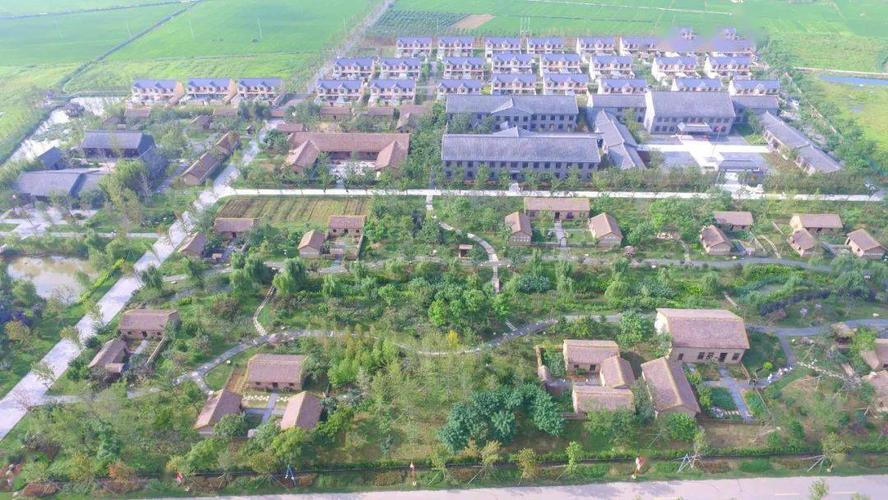 宿迁市泗洪县半城镇大王村来源|微播宿迁返回搜狐,查看更多