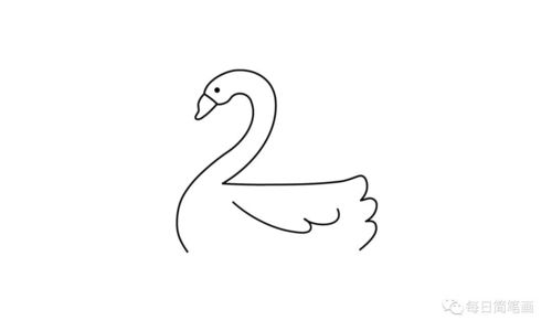 简笔画教程—可爱的白天鹅