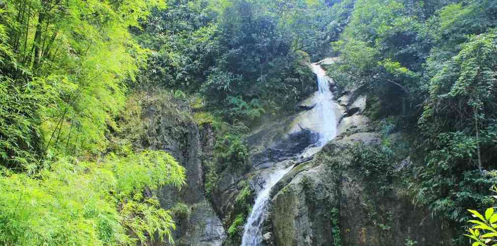 南岭国家森林公园广东天然生态保护屏障有广东物种宝库的美誉