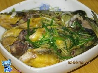 清蒸黄颡鱼