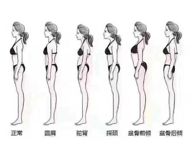 体态的优美对气场的影响优于体型的健美(从获得难度来说哦)