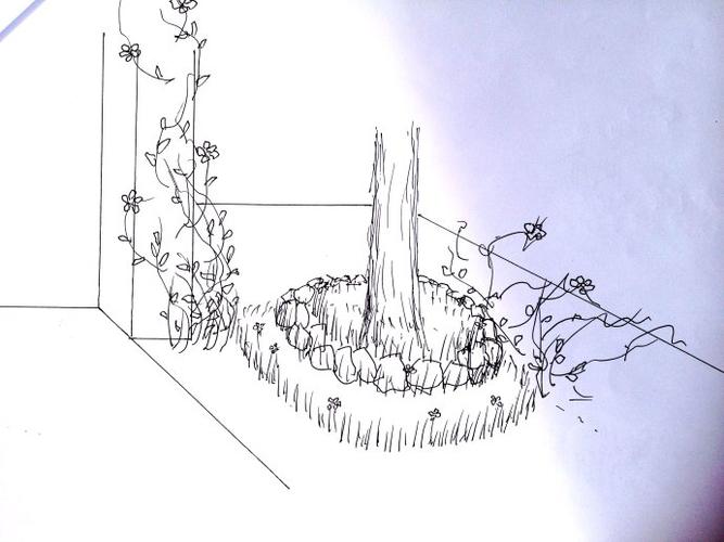 树下做花境.)——