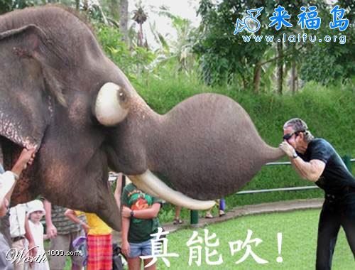 都说吹牛吹牛,你能吹过她吗?