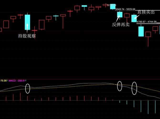 查看原图 查看原图 $上证指数(sh000001)$  $北京银行(sh601169)$  $