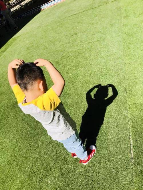 【主题活动】有趣的影子