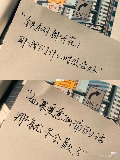 多么的,遗憾啊_文案_微信_抖音_伤感_真的好遗憾_素材