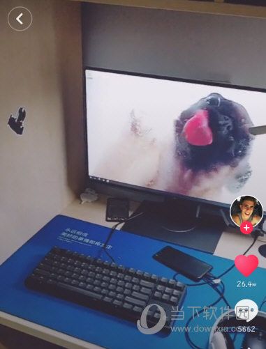 抖音小狗舔屏动态壁纸怎么设置 超萌超可爱