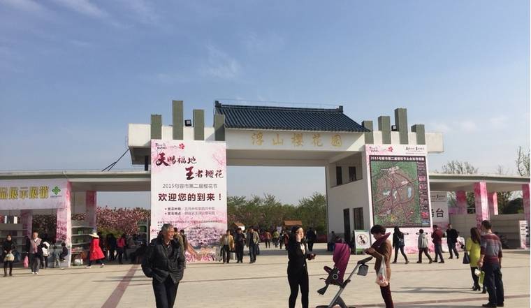 2015年句容市第二届樱花节于天王镇开幕