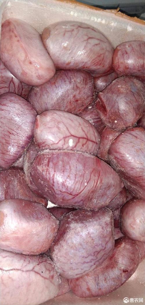[猪卵子批发]大猪睾丸,大猪卵子价格12元/斤 - 惠农网