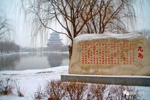 毛遂公园,龙岛