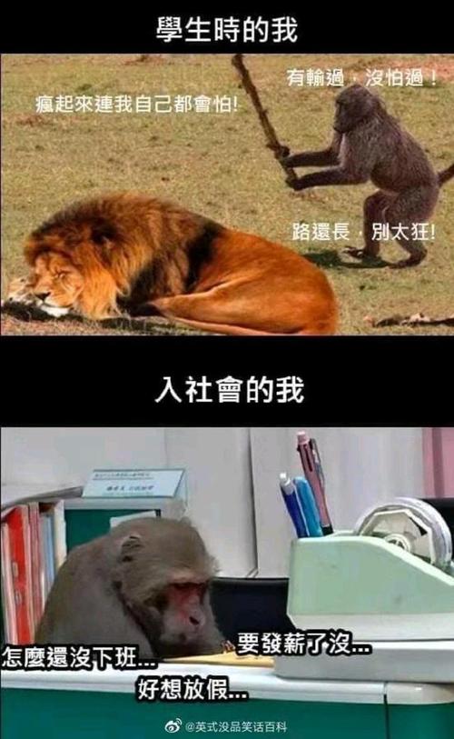 沙雕网图:别人前途光明,而我却.在这里看沙雕网图