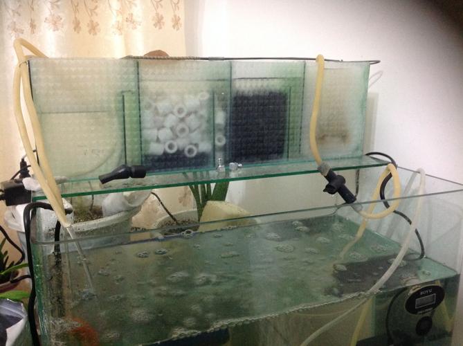 "自己用玻璃自制了鱼缸水循环系统,不知道存在什么问题.求解,谢!