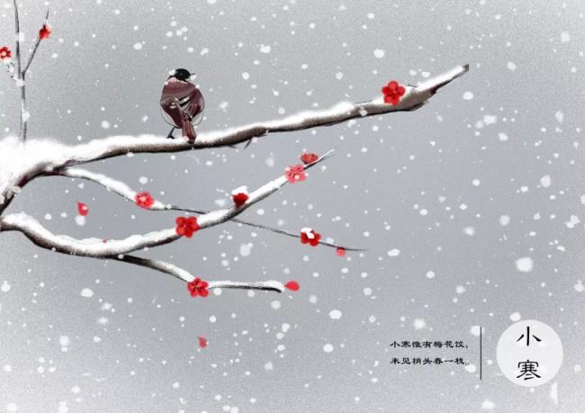 小寒图片(今日小寒|小寒已至)