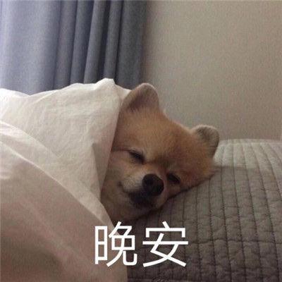 晚安表情包