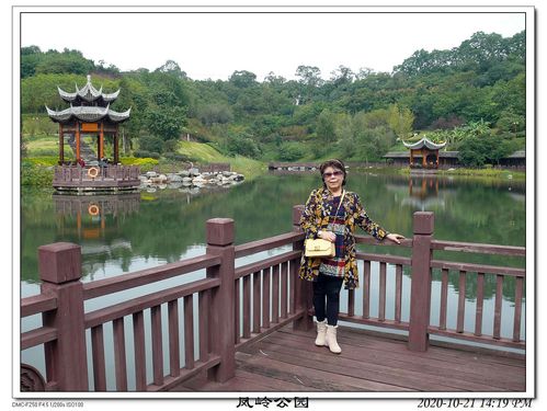 资阳凤岭公园2020.10.21