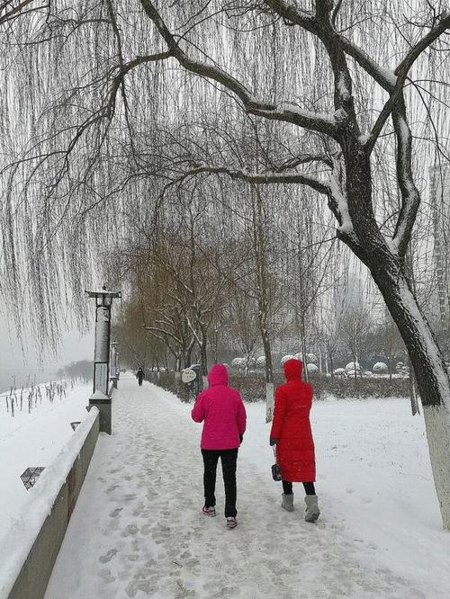 此刻,人们兴奋地欢呼:下雪了,下雪了.