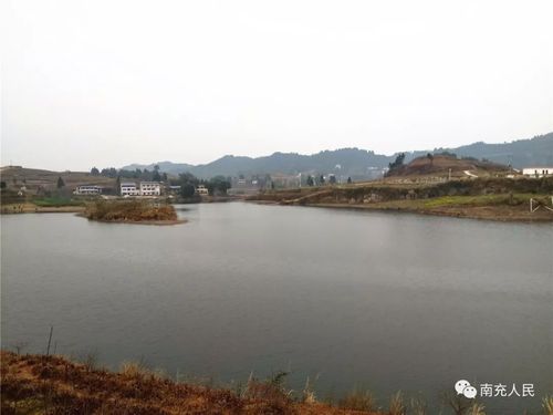 南充市顺庆区桂花水库,占地1300余亩,集功能和美景一身