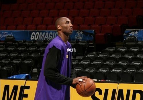 科比_科比_体育赛事_篮球赛事