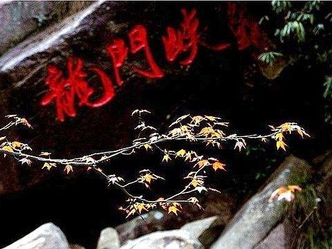 2020龙门峡谷-旅游攻略-门票-地址-问答-游记点评,大明山旅游旅游景点