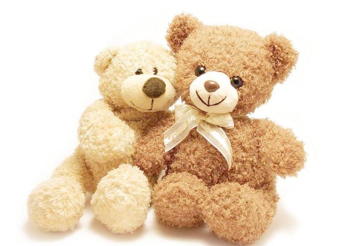 两只小熊玩偶图片