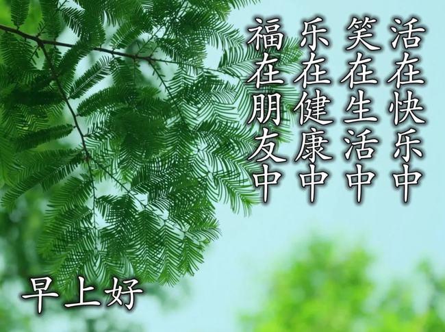 原创最美早晨好动态祝福图片带字早上好的温馨感人的问候语
