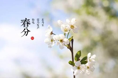 始电则相薄而出声犹有阴寒此时四阳渐盛为阳气之声雷为振阴阳相薄为雷