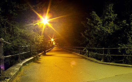 风景] 夜晚路灯下的道路  1920x1200 tag:夜晚路灯道路