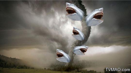 龙卷鲨   有两部哦!