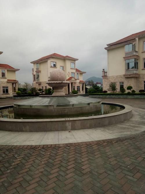 龙华大浪新出豪华别墅群每栋550平合同810年