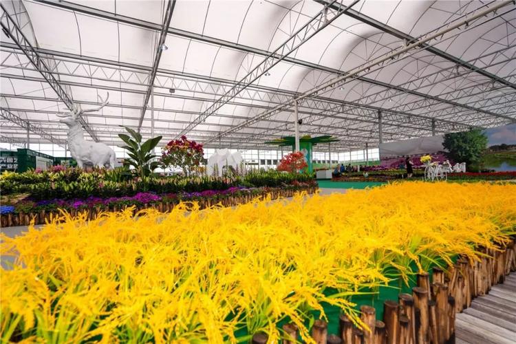 百万鲜花靓爆镜,看了都想去!还有里水新春精彩活动约定你