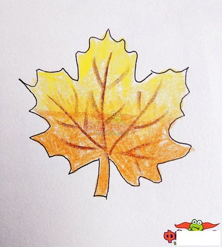 枫叶怎么画简单又漂亮,最简单的枫叶简笔画