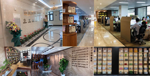 臻源国际 臻品质,构筑未来