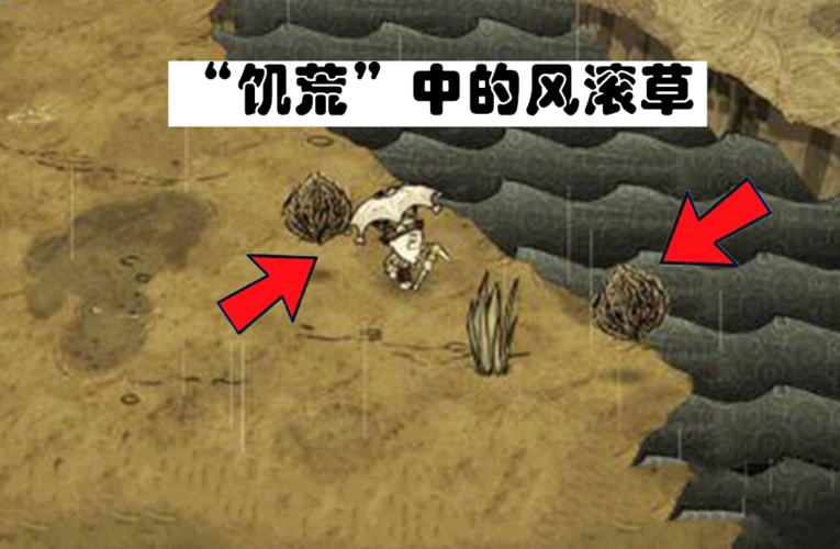 饥荒中的风滚草
