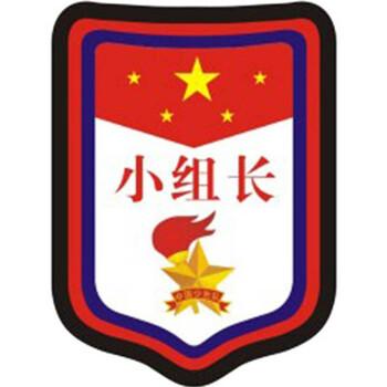 小职位牌小组长小组长牌袖标幼儿园胸牌小组长夹子款10个