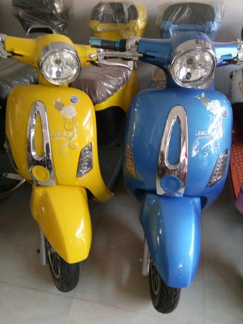 华艺电动车60v