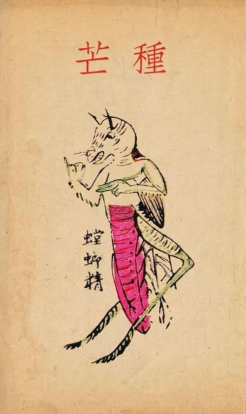 立夏时节,芭蕉精出没.