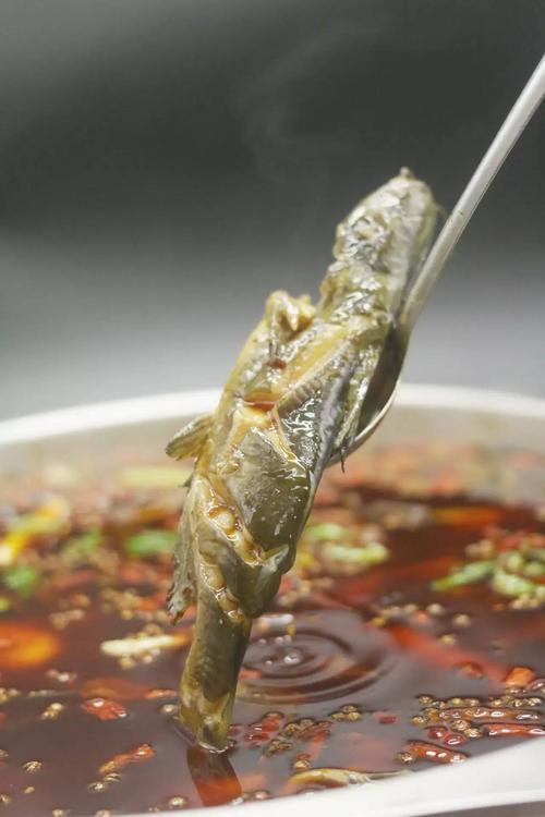 黄辣丁