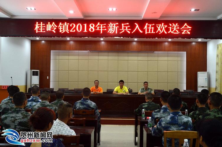 贺州桂岭镇举行新兵欢送仪式