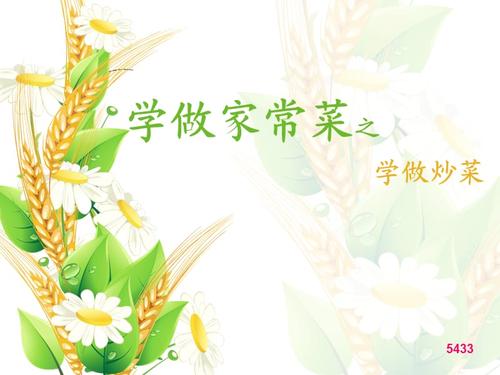 学做家常菜之炒菜系列ppt