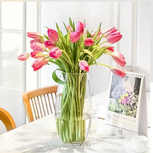 送你一片郁金香花海