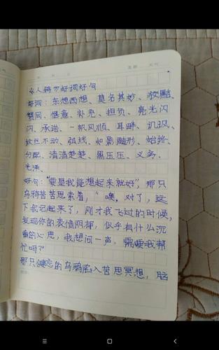 冯雅涵的抄写好词好句