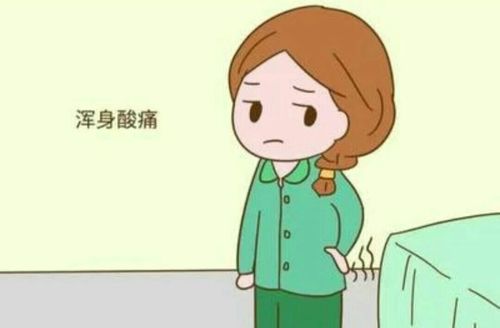 (二)全身酸痛,乏力