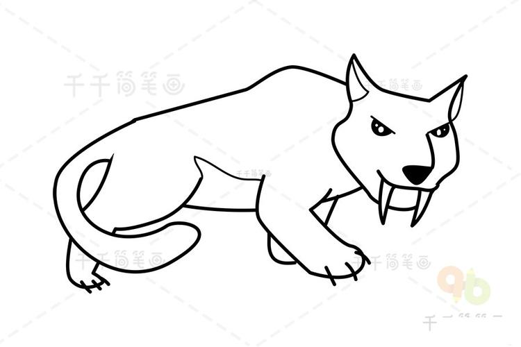 剑齿虎简笔画