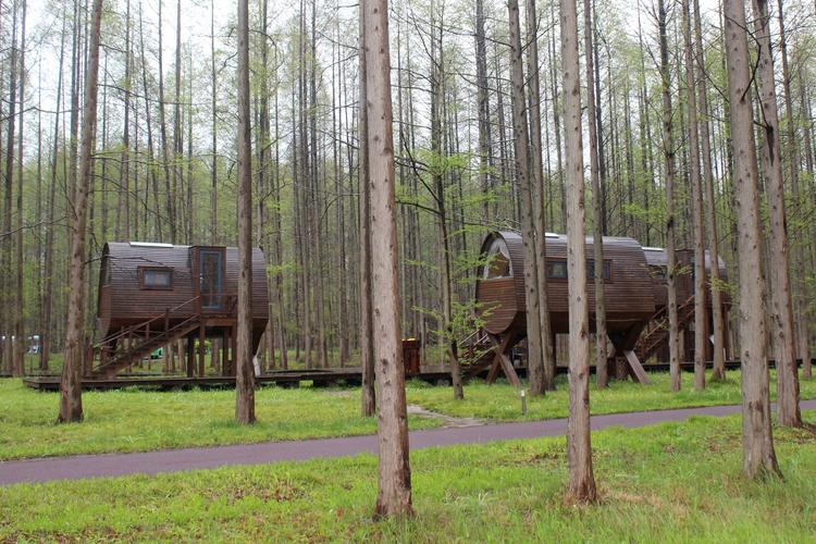黄海森林公园-森林木屋_江苏自驾游论坛_123活动网