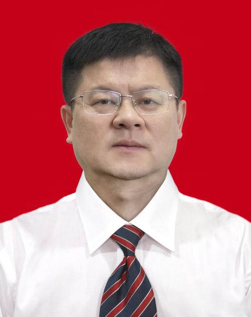  /p> p>现任安徽省池州市东至县委常委,县委组织部部长,统战部部长,县