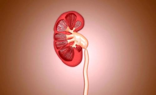 不是学习过医学超声相关的知识,很少有人会知道肾盂分离是什么意思