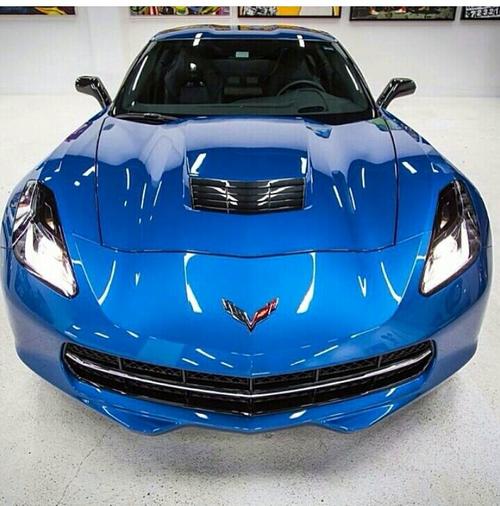 这个车标叫什么?