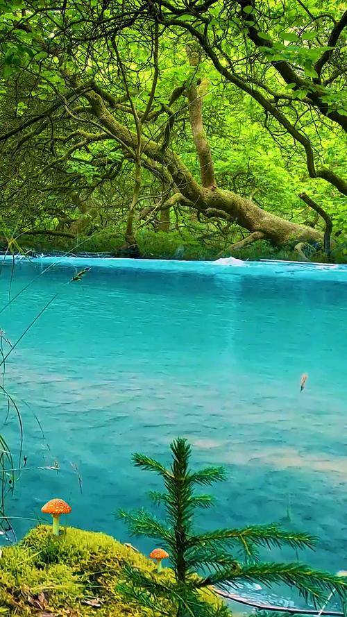 美景分享#我们乡下的大山里,溪水涓涓流淌,置身于此