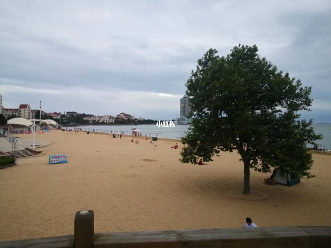 青岛|第一海水浴场_景点_游泳_钟表楼攻略_钟表_直播